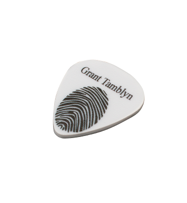 Guitar Picks (x12)