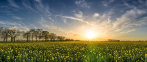 What is a Direct Cremation?